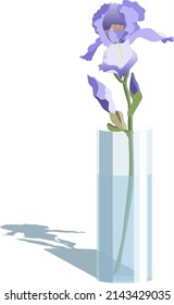 Vector illustration of pink iris in a glass vase, isolated on white background