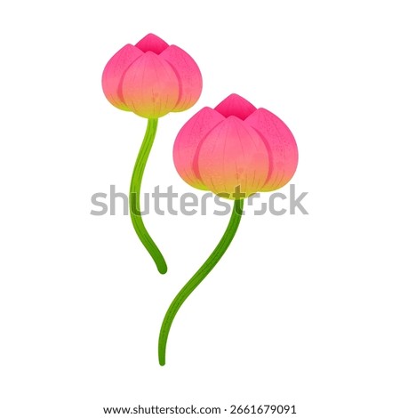 Vector illustration of pink lotus buds with green stems on white background. Perfect for floral, Thai culture, spa, and meditation-themed designs.