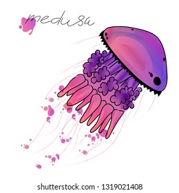 Vector illustration of pink medusa. Sketch. Watercolor. Isolated on white background.