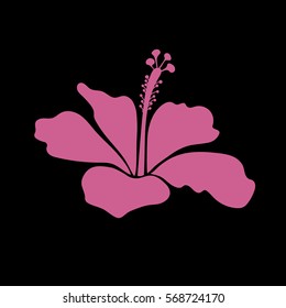 Vector illustration of pink on black hibiscus flower isolated. Single icon with pink on black flower. Vector illustration.