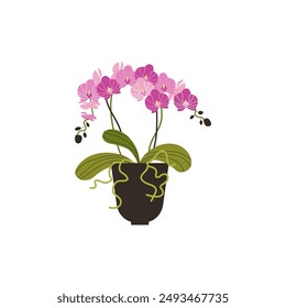 Vector illustration of a pink orchid with petals, stamens and roots. The set includes a flower pot and lush leaves, ideal for decorating with a natural theme.