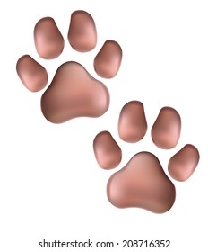  vector illustration. pink pads of a cat. traces of a kitten