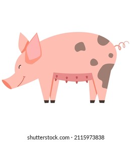 Vector illustration of a pink pig in a flat style