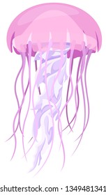 Vector illustration of a pink and purple jellyfish.