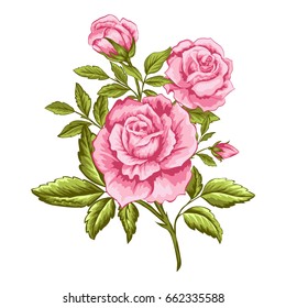 Watercolor Botanical Illustration Pink Roses Hand Stock Illustration ...