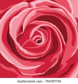 Vector illustration of a pink rose in close-up.
Square image that can be used for a background.