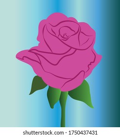 vector illustration of pink rose on a blue background