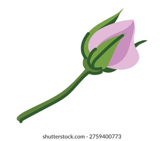 Vector illustration of a pink rosebud in a flat style. An ingredient in Mei Gai Hua Cha flower tea, popular in China. The Damask rose is used in traditional beverages in the Indian state of Kashmir.