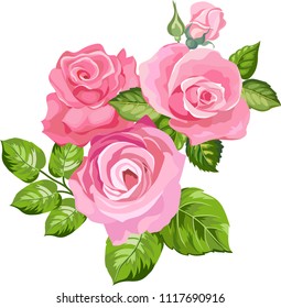 vector illustration with pink roses
