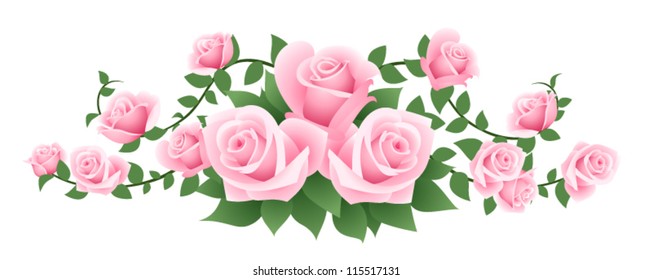 Vector illustration of pink roses.