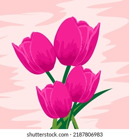 vector illustration of pink tulips with green leaves and pink background