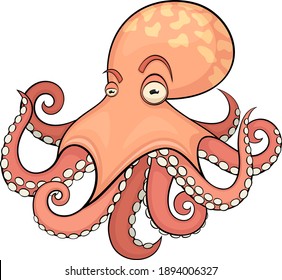 Vector illustration of a pink-colored cartoon octopus against a white background.