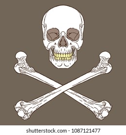 Vector illustration of pirate flag sign brown