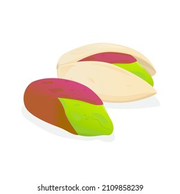 Vector illustration of pistachio nut isolated on white background.