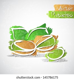Vector illustration of pistachio nut with leaves