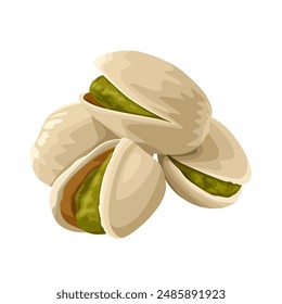 Vector illustration of pistachio nuts, isolated on white background.