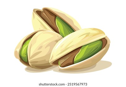 Vektorgrafik von Pistaziennüssen einzeln auf weißem Hintergrund. Detailliertes Design für gesunde Lebensmittelverpackungen, Ernährungsleitfäden und Snack-Branding