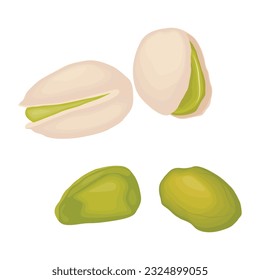 Vector illustration of pistachios in flat cartoon style. Roasted pistachios in shell. Natural organic food logo. Design element for nuts packaging, advertising, etc.