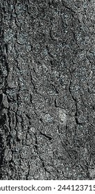 Vector illustration of Pistacia vera tree bark background and texture.
