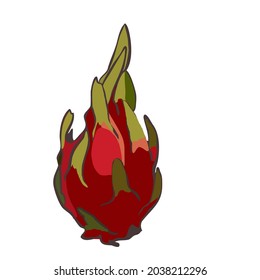 Vector Illustration Pitahaya idol on white background 