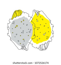 Vector illustration of pitaya fruit or dragon fruit