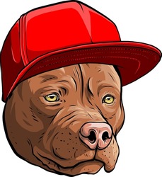 Vector Illustration Of Pitbull Dog In Cap.