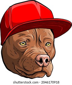 vector illustration of Pitbull dog in cap.