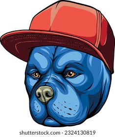 vector illustration of Pitbull dog in cap.