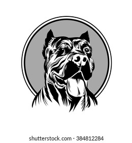 Vector illustration  pitbull mascot head, on a white background