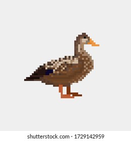 Ilustración vectorial, pato de arte píxel aislado en fondo blanco.
