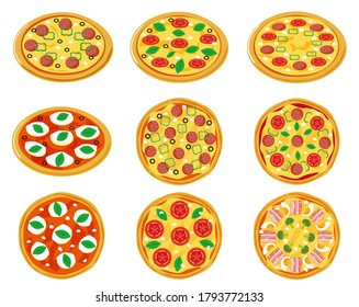 Vector illustration of pizza. Tomato sauce. cheese .  Bacon egg. salami. Mozzarella