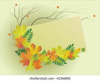 Vector  illustration with the place for text with a composition from autumn leaves