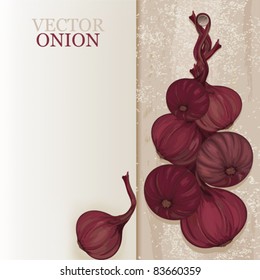 Vector illustration of a plait of purple onion