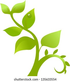 Vector illustration of a plant