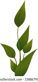 Vector illustration of a plant