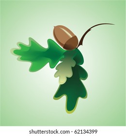 The Vector illustration plant. The acorn and sheet.