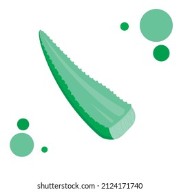 vector illustration plant aloe f doodle style