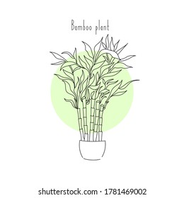 vector illustration plant bamboo hand line contour and text on a white background