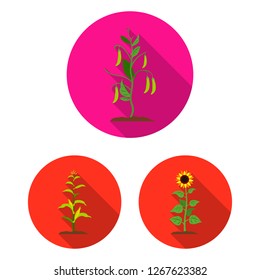 Vector illustration of plant and bean icon. Set of plant and process stock symbol for web.