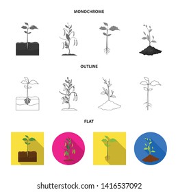 Vector illustration of plant and bean sign. Collection of plant and process stock symbol for web.