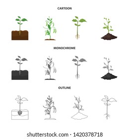 Vector illustration of plant and bean sign. Collection of plant and process stock symbol for web.