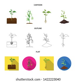 Vector illustration of plant and bean sign. Collection of plant and process stock symbol for web.