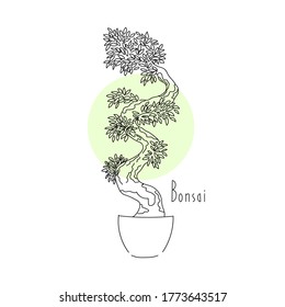 vector illustration plant bonsai tree hand line contour and text on a white background