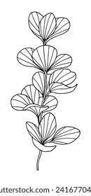 Ilustración vectorial de una rama de planta. Dibujo de tinta de plantas para artesanías, tarjetas de felicitación, invitaciones de boda. Esbozo floral aislado a mano de flores de doodle botánico para papel