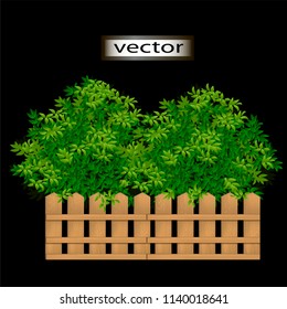 Vector illustration of a plant bushes in a container made of a wooden decorative fence, isolated on a black background.