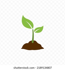 Vector illustration of plant. Colored vector for website design .Simple design on transparent background (PNG).