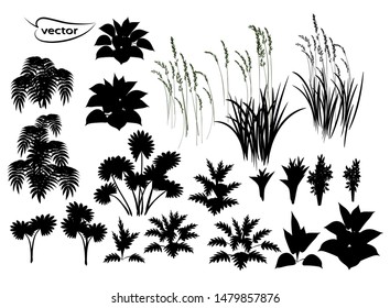 Vector illustration of plant contour grass European mixed forest and field contour