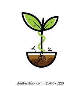 Vector Illustration Plant Eps.10