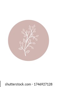 Vector illustration of a plant. Floral elements for web and print. Template for postcards, packaging, fabrics, shop and other uses.