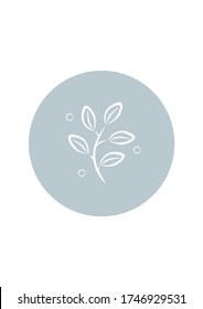 Vector illustration of a plant. Floral elements for web and print. Template for postcards, packaging, fabrics, shop and other uses.